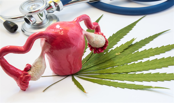 东南亚试管婴儿