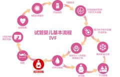 泰国试管婴儿机构成功案例分享：真实经历，给